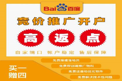 精准营销：百度推广平台的成功案例解析